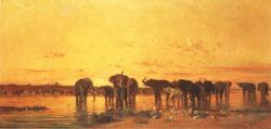 Charles tournemine African Elephants France oil painting art